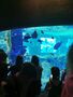 IMG 20230615 115201
