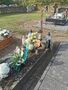 IMG 20231030 102253